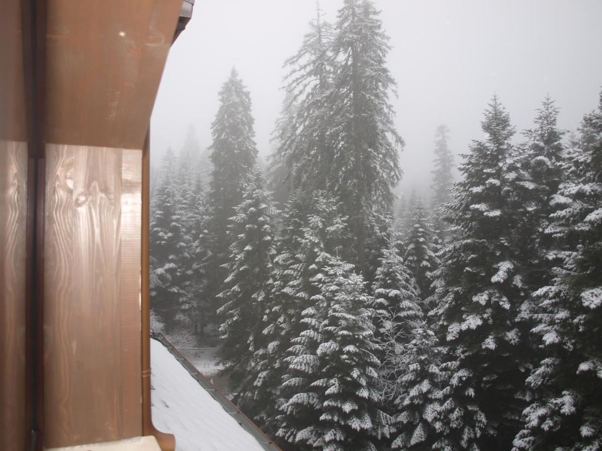 Borovets Forest View Exterior photo